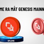 Plume Genesis Mainnet