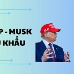 TRUMP - MUSK ĐẤU KHẨU: CÚ SỐC TRIỆU ĐÔ LAY ĐỘNG THỊ TRƯỜNG CRYPTO!